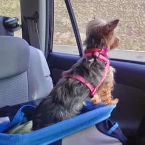 Meet your Posher, Lori